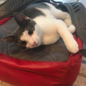 Meet your Posher, Sheila